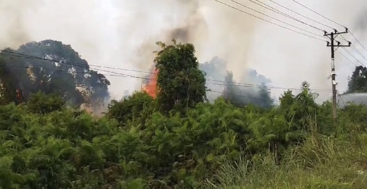 BREAKING NEWS: Lagi, Kebakaran Lahan di Penyengat Rendah Kota Jambi, Damkar Turun Tangan