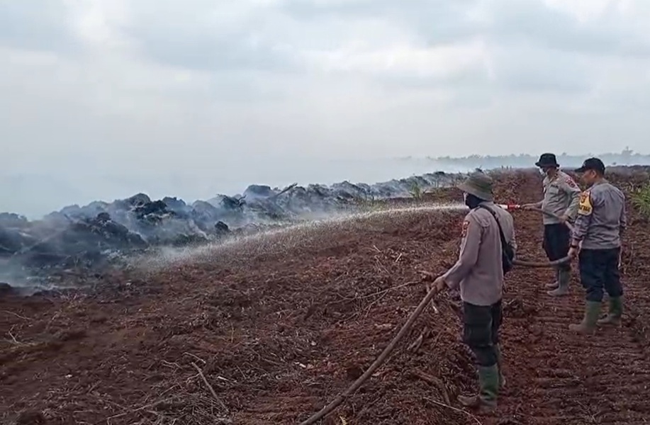 BREAKING NEWS: Sudah 264 Hektare Lahan Terbakar, Karhutla di Muaro Jambi Makin Meluas