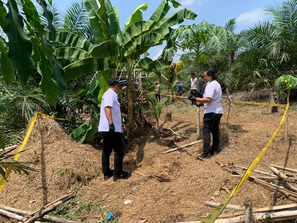 Geger Pengungkapan Kasus Mayat Dikubur di Kebun Sawit Merangin! Istri dan Mertua Korban Diamankan Polisi