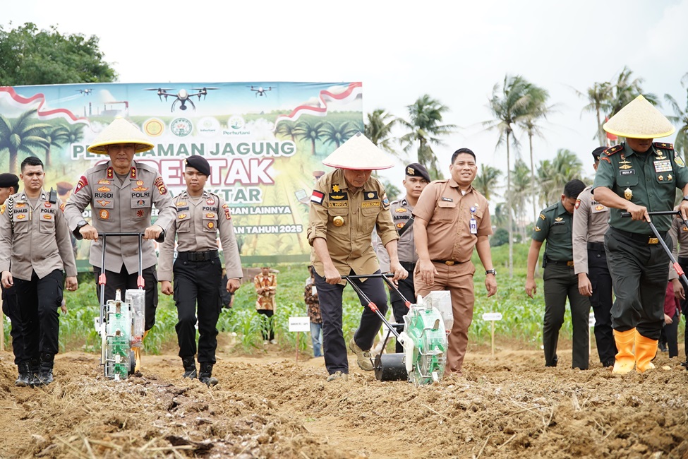 Gubernur Jambi Al Haris, Kapolda, Danrem 042 Gapu dan Forkopimda Tanam Bibit Jagung, Dukung Swasembada Pangan