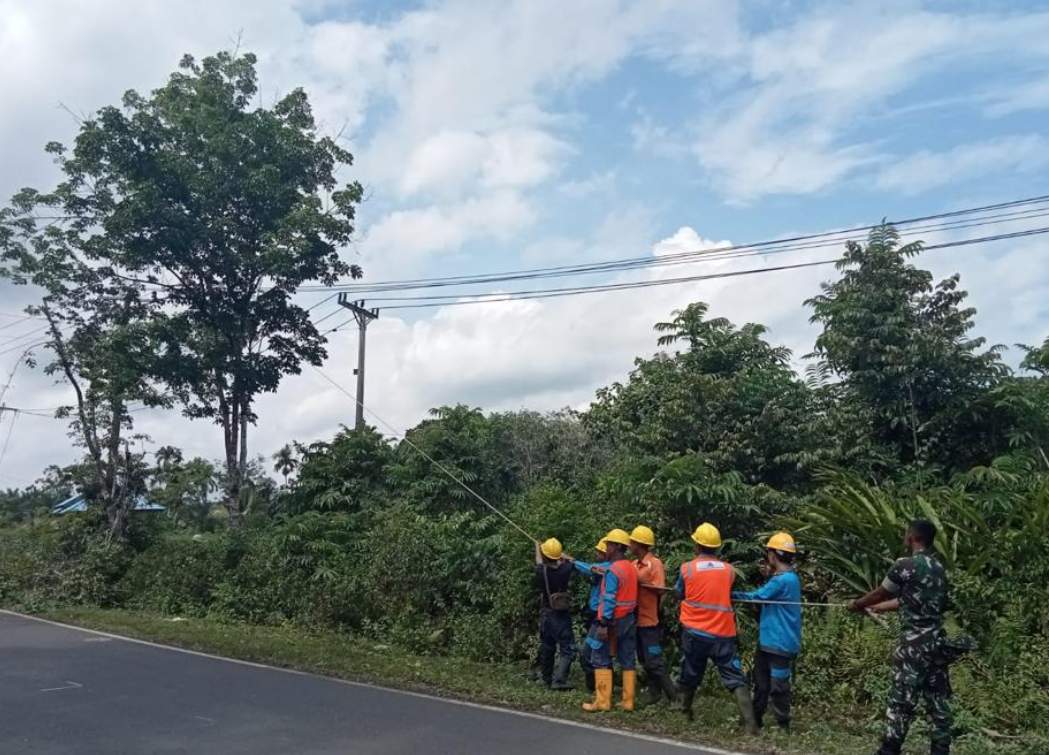 Jaga Instalasi Listrik, PLN Ajak Masyarakat Waspada Aktivitas Berbahaya di Sekitar Aset Kelistrikan