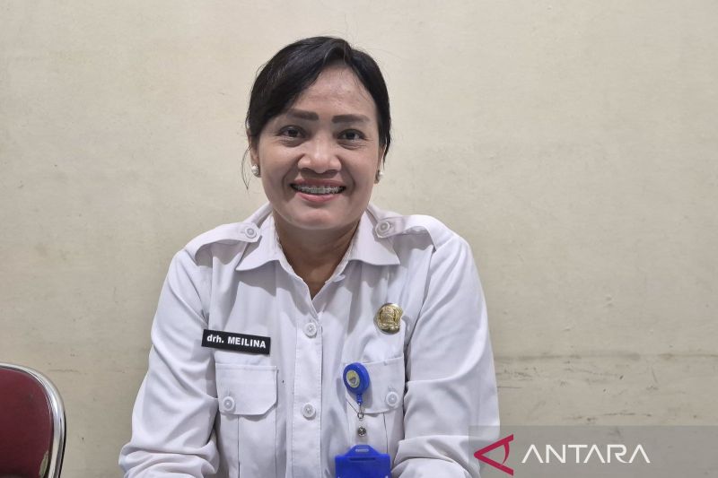 Jambi Terima 12 Sapi Kurban dari Presiden Prabowo, Bobot Minimal Satu Ton