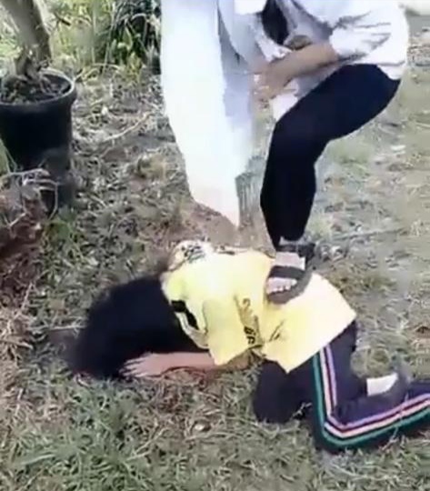 Viral Video Siswi SMP Kerinci di Bully Temannya, Dikeroyok hingga Dibenamkan ke Kolam