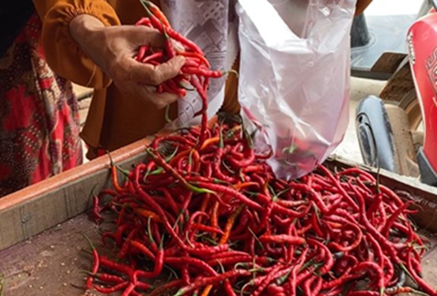 Jelang Bulan Ramadan, Harga Wortel di Pasar Angso Duo Naik, Harga Cabe Naik, Kemiri dan Lada Melonjak