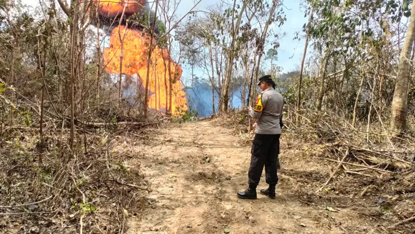BREAKING NEWS: Ini Nama Diduga Pemilik Sumur Minyak Ilegal di Tahura Batanghari yang Terbakar, Warga Sumsel