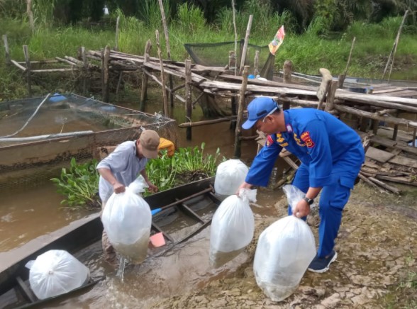Dukung Pembudidaya Ikan di Sekitar Sungai Batanghari, Ditpolairud Polda Jambi Salurkan 20.000 Benih Ikan