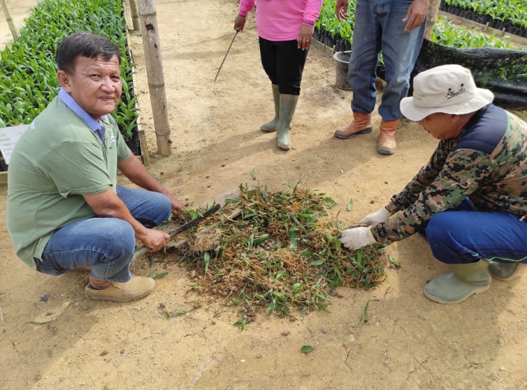 Peduli Warga, Mengenal Unit Usaha Rimbo Dua PTPN VI Jambi