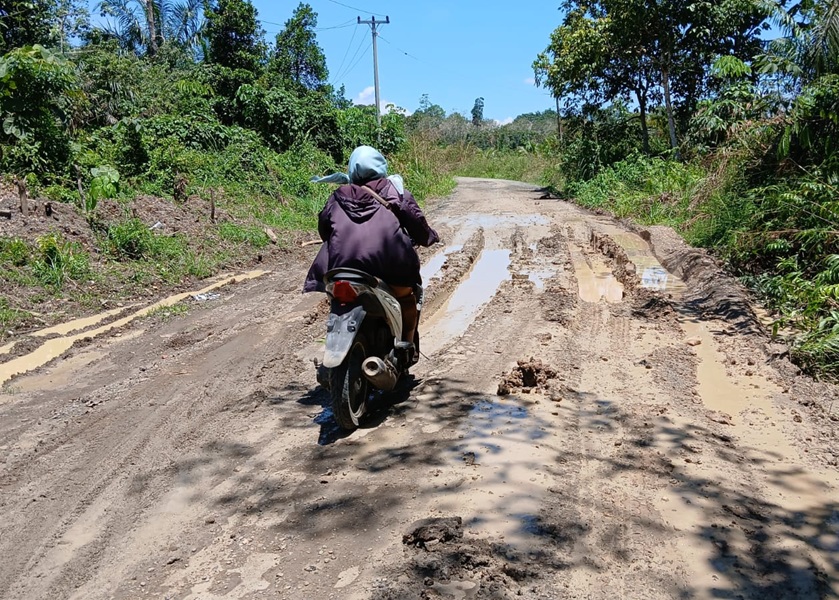 Sempat Jadi Jalur Alternatif Jambi-Sumbar, Jalan Kabupaten Bungo di Jujuhan Ilir Kini Rusak