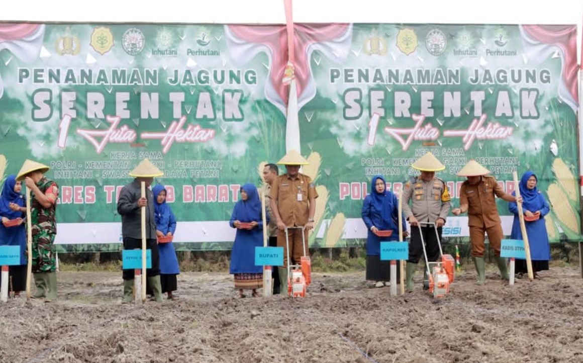 Pemkab Tanjab Barat Gencarkan Ketahanan Pangan dengan Penanaman Serentak Jagung