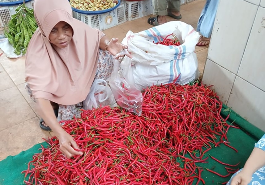 Harga Cabe Merah Naik Sampai Rp80 Ribu per Kilogram, Emak-emak di Kabupaten Bungo Mengeluh