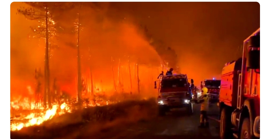 Ribuan Penduduk Terpaksa Dievakuasi, Hutan Prancis Alami Kebakaran Hebat