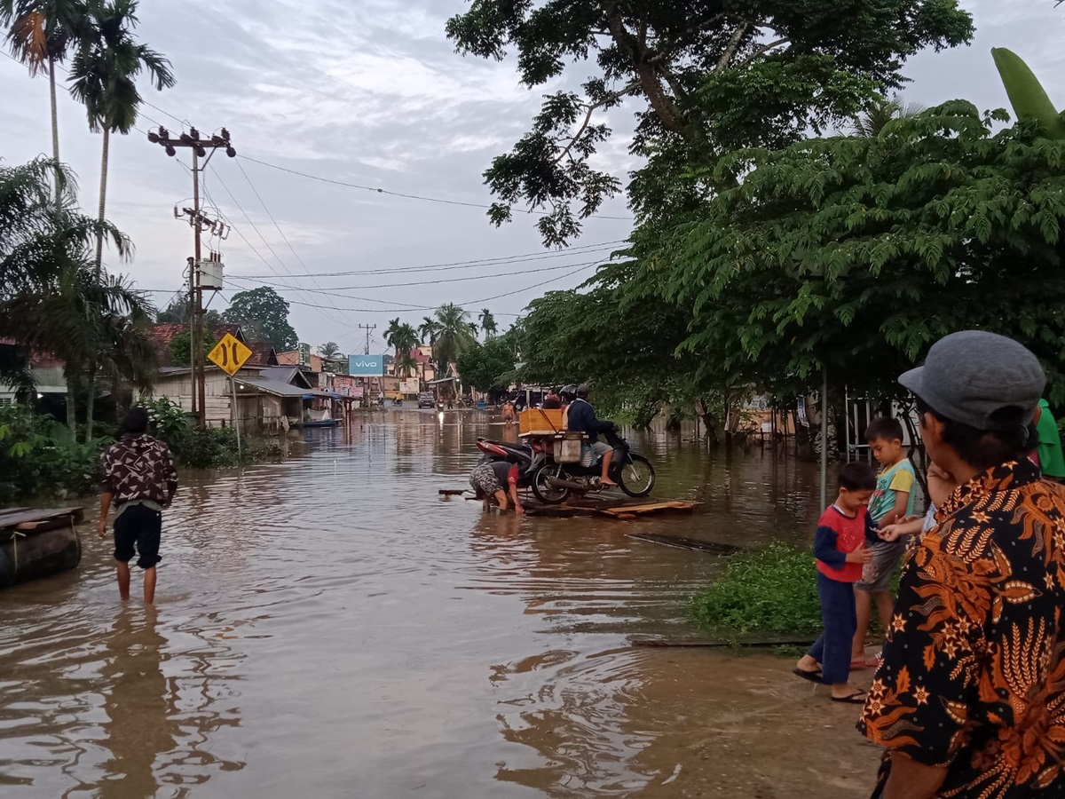 Banjir di Tebo Makin Meluas, Berapa Korban yang Terdampak? Cek Informasinya di Sini