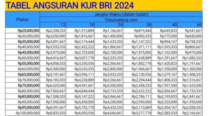 Pinjaman KUR BRI 2024 Mulai Rp 10 Juta hingga Rp 100 Juta, Diperioritaskan Khusus UMKM