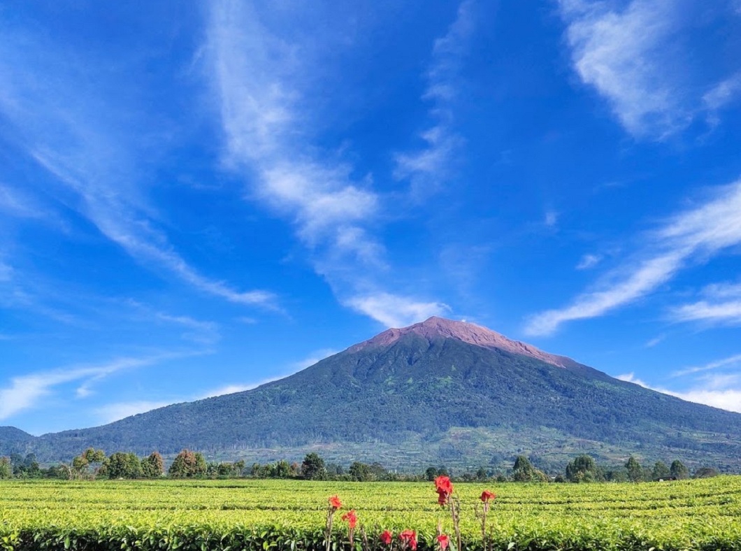 Prakiraan Cuaca Jambi Hari Ini: Didominasi Cerah, Suhu Capai 32 Derajat Celcius