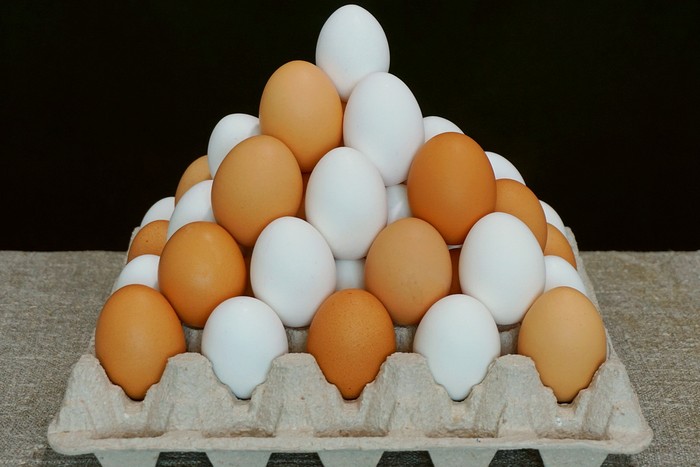 Mana yang Lebih Aman Dikonsumsi oleh Penderita Kolesterol, Telur Ayam atau Bebek?