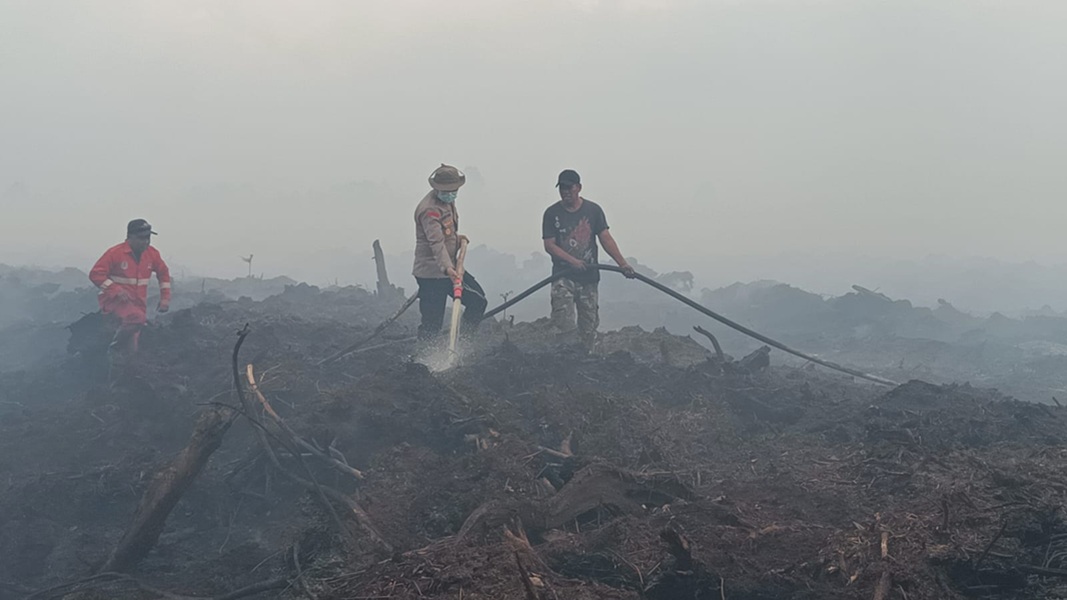 Karhutla di Jambi Belum Padam, Luas Lahan Terbakar Terus Bertambah