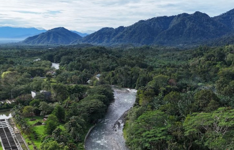 Menakar Kebijakan Fiskal Penyelamat Alam