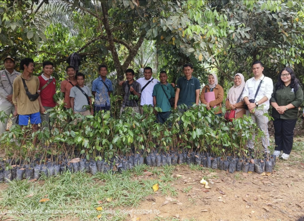 PT SAL dan TNBD Tanam 600 Bibit Jengkol, Lindungi Hutan dan Mandirikan Suku Anak Dalam