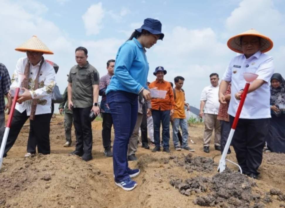 Pemkot Jambi Genjot Program Petani Mandiri, Maulana: Pertanian Jadi Senjata Ampuh Tekan Kemiskinan!