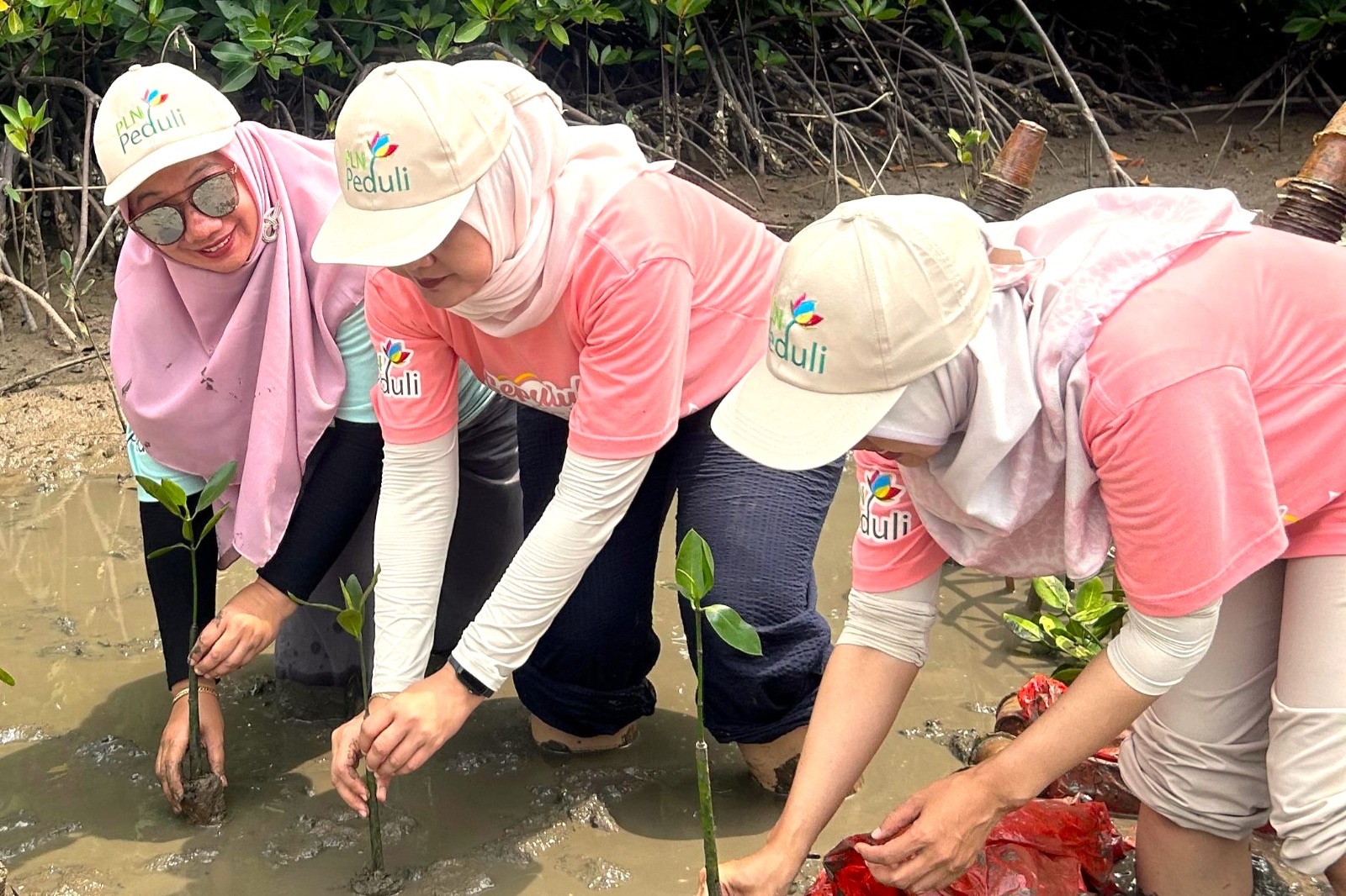 Gandeng WWF Indonesia, PLN Jadi Perusahaan Pertama di Tanah Air Adopsi Kerangka Kerja TNFD