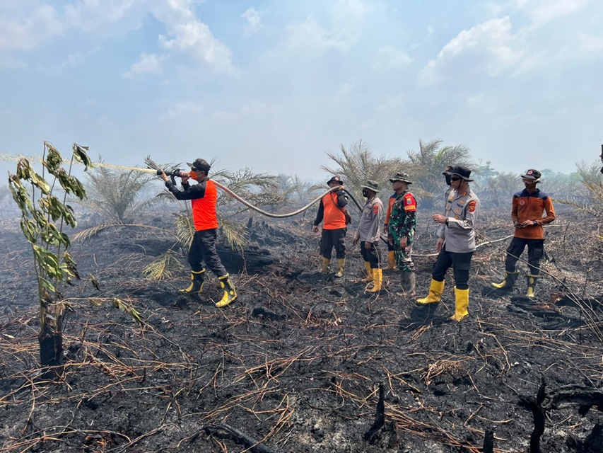 Lahan Terbakar di Muarojambi Tembus 325 Hektare,  Status Naik Jadi Tanggap Darurat