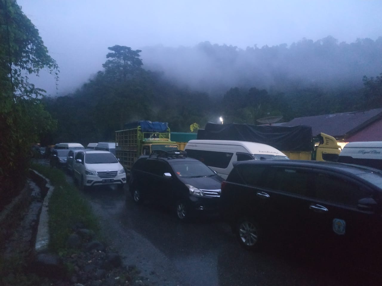 Pohon Tumbang, Jalan Bangko-Kerinci Macet, Puluhan Kendaraan Terjebak