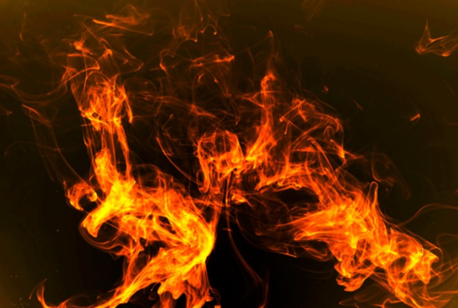 Hingga Agustus 2025, Terpantau 328 Hotspot di Jambi