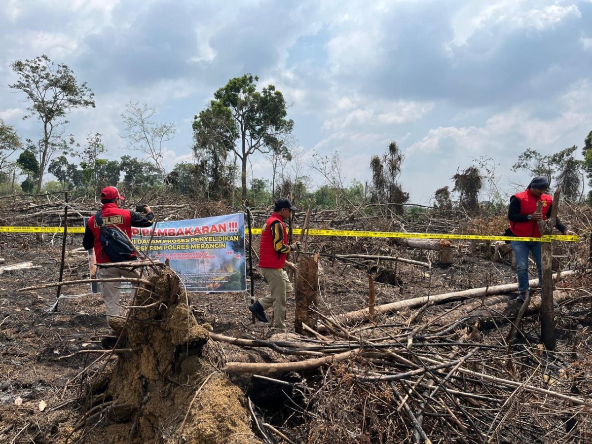 Muncul Hotspot di Kabupaten Merangin, Aparat Langsung Turun Lakukan Olah TKP di Lokasi Karhutla
