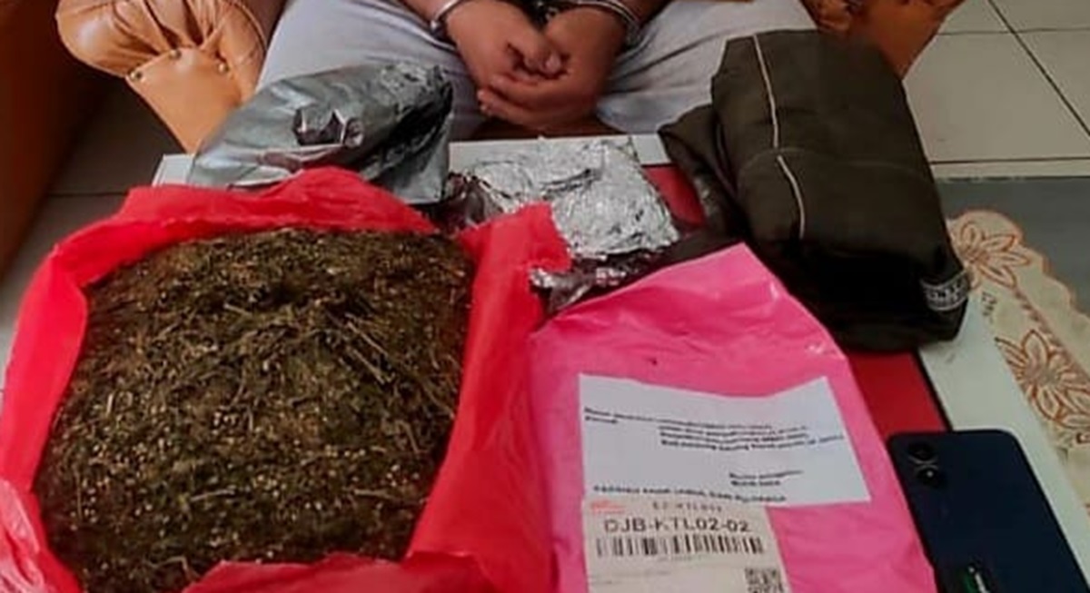 Dari Medan, Bandar Narkoba Kirim 1,5 Kilogram Ganja ke Tanjab Barat lewat JnT, Satu Orang Ditangkap
