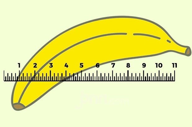 10 Cara Alami Buat Si Otong Lebih Besar, Nomor 6 Sangat Mustahil