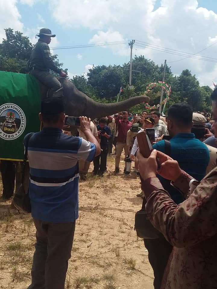 Gubernur Jambi Al Haris Resmikan Pusat Penangkaran Gajah di Kabupaten Tebo