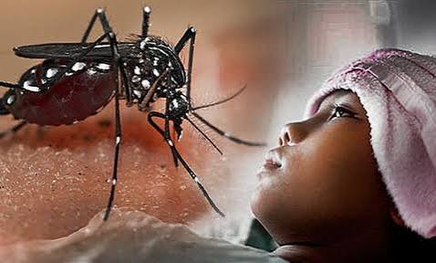 Waspada DBD saat Musim Pancaroba, Pemkab Minta Warga Lakukan Antisipasi
