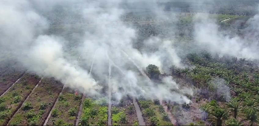 Karhutla di Sumsel, 15 Hektare Lahan Terbakar