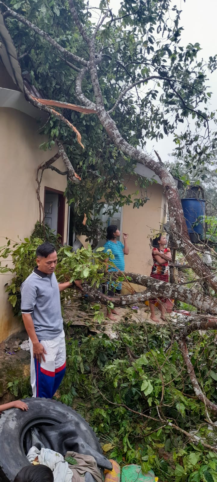 3 Rumah Warga di Kelurahan Bagan Pete Rusak Terbawa Angin Puting Beliung 