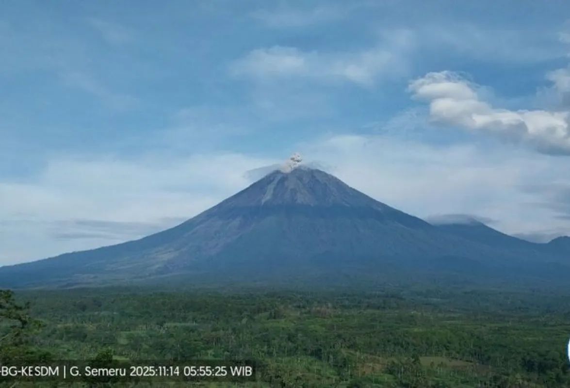 Waspada! Gunung Semeru Kembali Erupsi, Kolom Abu Capai 800 Meter di Atas Puncak
