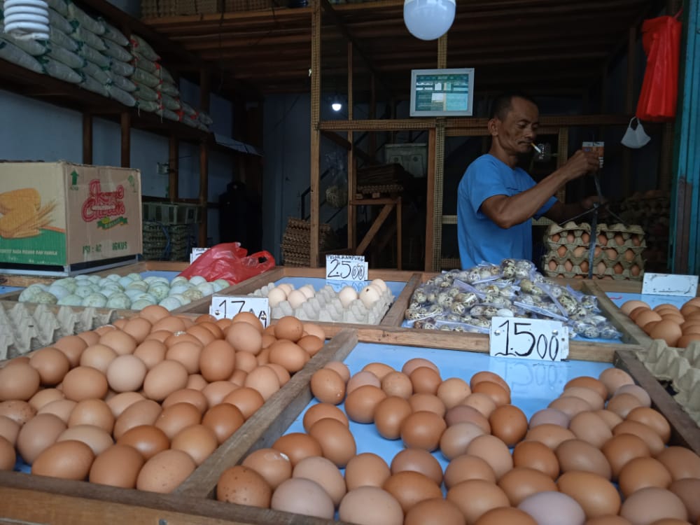 Harga Telur di Jambi Turun, Begini Penjelasan Pedagang di Pasar Angso Duo