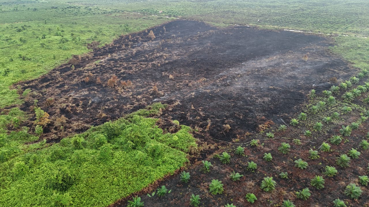 Karhutla Muarojambi Meluas, 18 Kasus dengan total 37,95 Hektare Lahan Terbakar
