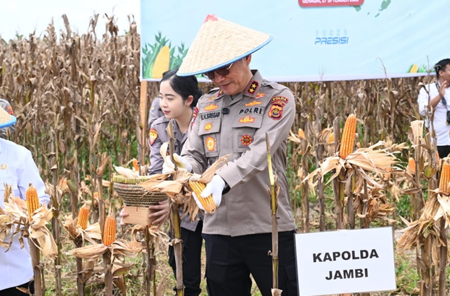 Polda Jambi Gelar Panen Raya Jagung Kuartal III