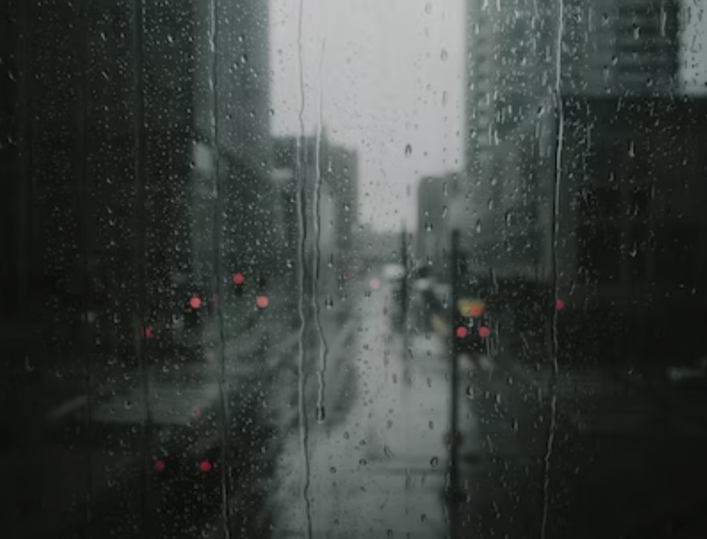Prakiraan BMKG, Kota-kota Besar Ini Bakal Diguyur Hujan, Jambi Masuk?