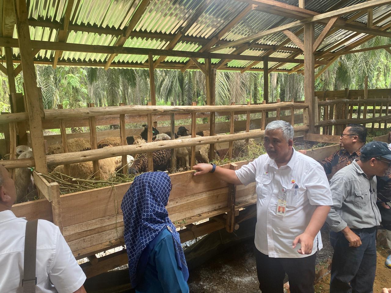 Diberikan Bantuan Kambing Domba 40 Ekor, Kades dan Warga Sungai Keruh: Terima Kasih SKK Migas - PetroChina  