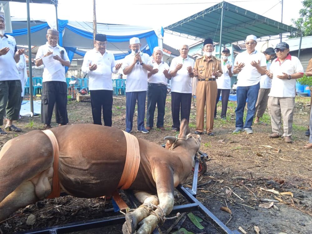 IPHI Provinsi Jambi Sembelih 11 Hewan Kurban, Rahmat: Wujud Keperdulian dan Kemabruran Haji