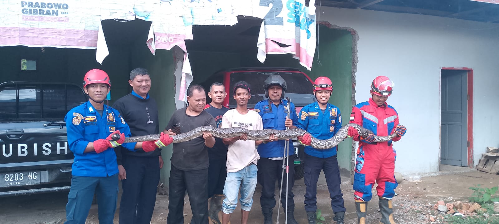 Ular Sanca Kerap Masuk Pemukiman Warga, Petugas Damkar : Dua Hari Berturut Turut 