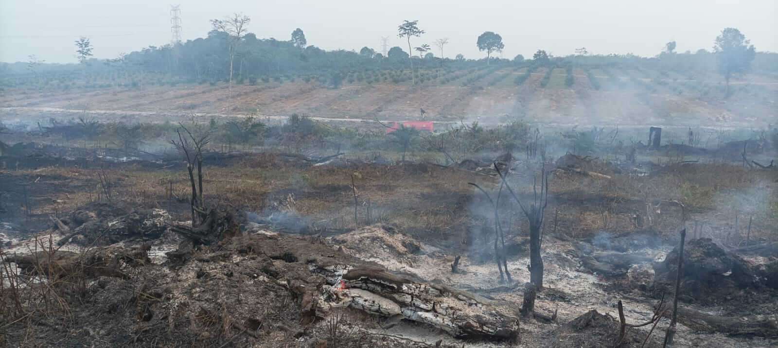 GAWAT.!! Sudah 36 Hektar Lebih Lahan yang Terbakar di Muaro Jambi