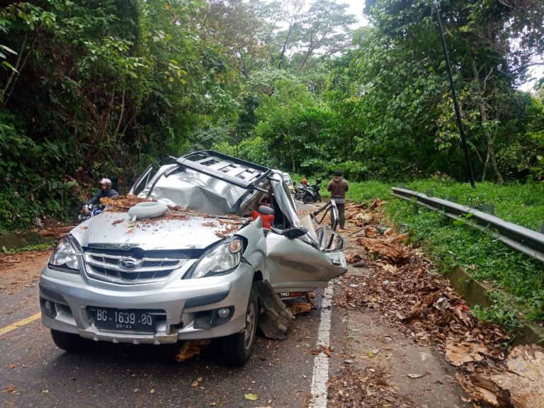 Sebuah Mobil di Liku Sembilan Tertimpa Pohon Saat Melintas, 1 Orang Tewas Mengenaskan