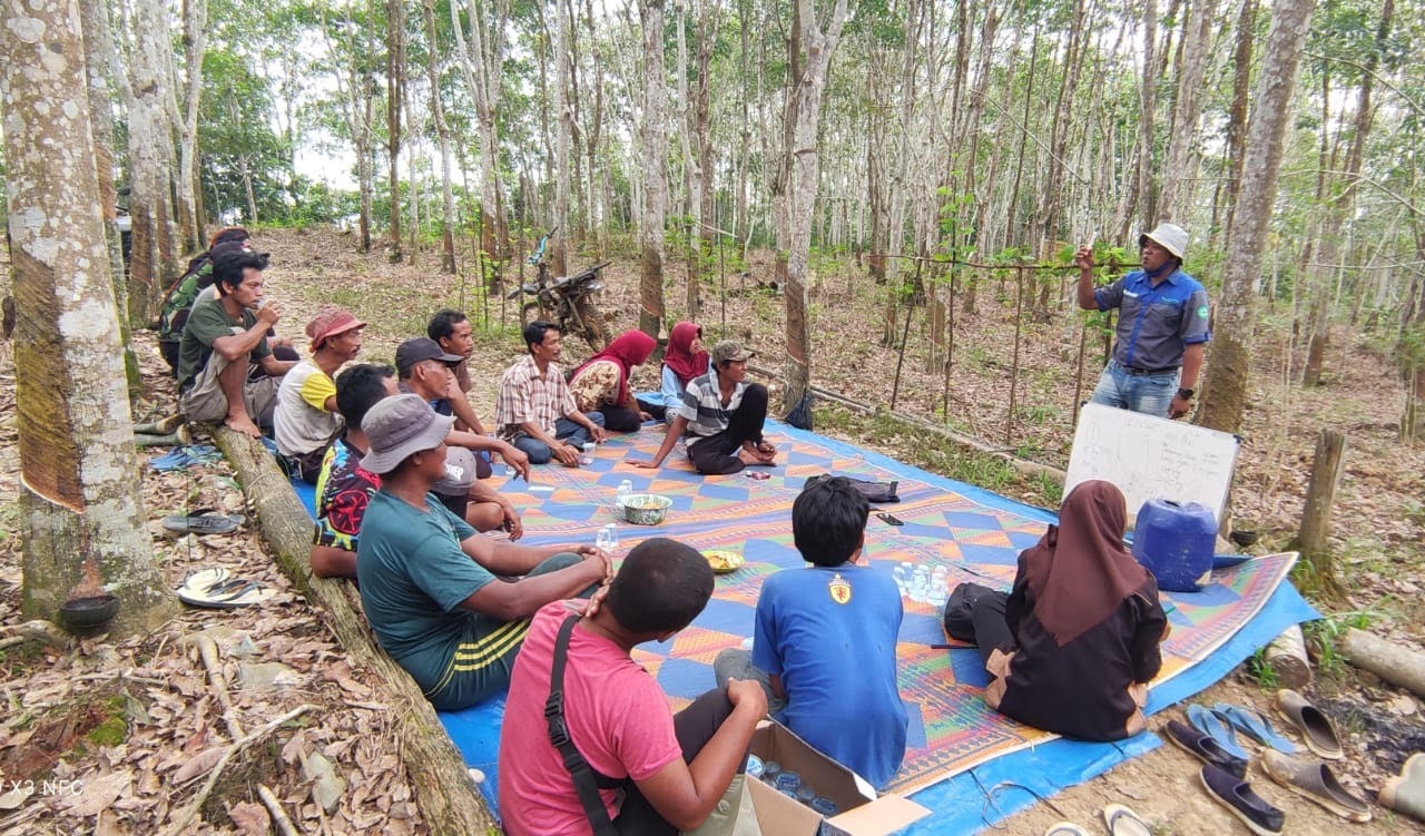 Produktivitas Petani Karet Meningkat Setelah Ikuti Community Partnership Program dari RLU