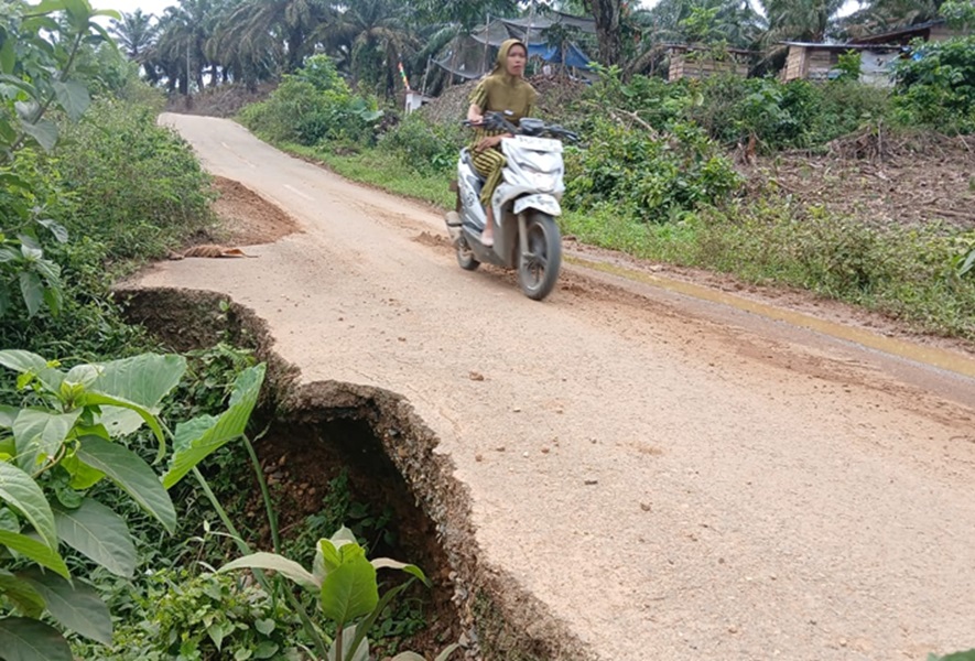 Waduh! Jalan Rantau Ikil Nyaris Amblas, Akses Jambi-Sumbar Terancam Putus Total