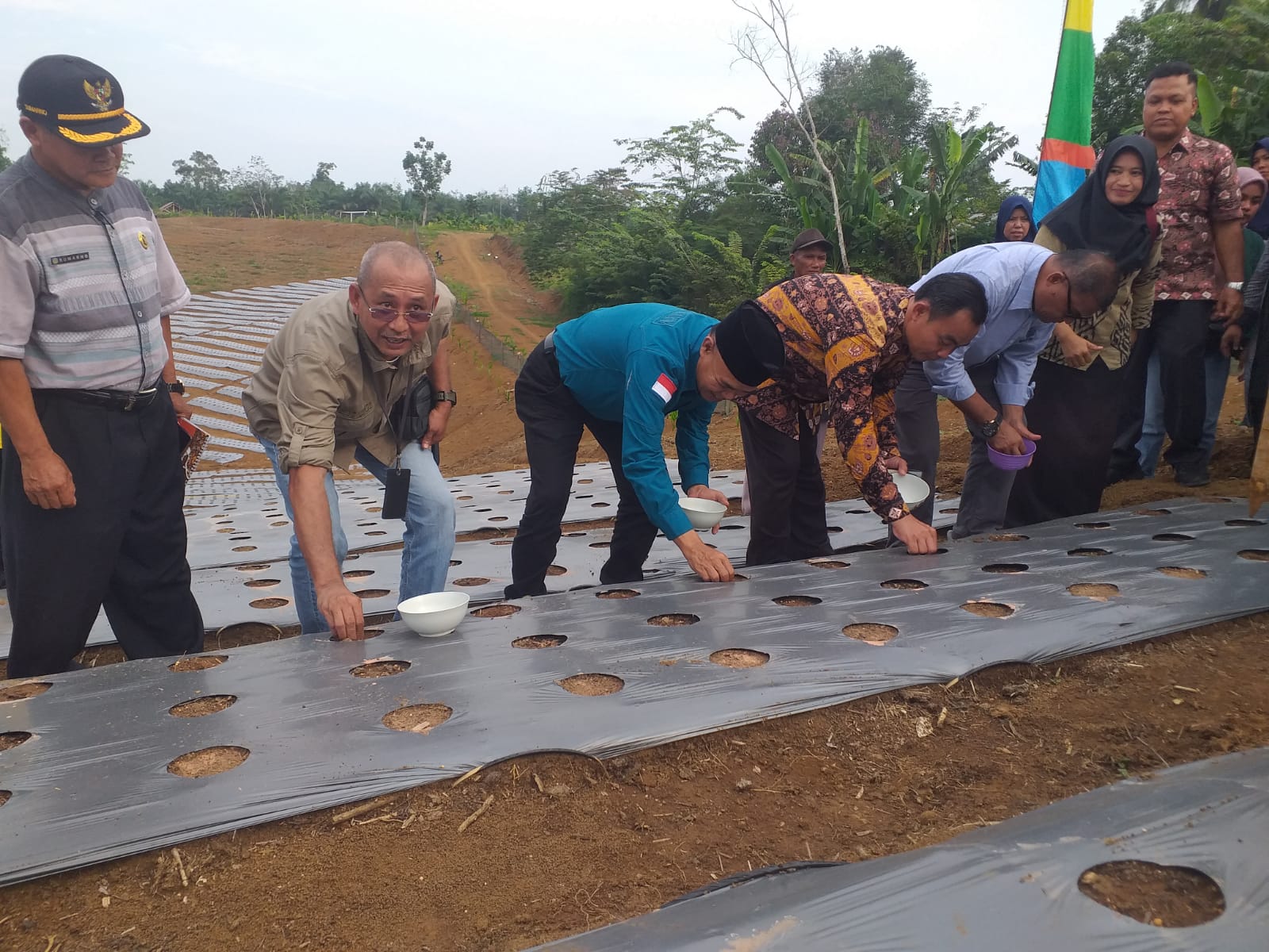 Dukung Pemulihan Ekonomi, Pj Bupati Tebo Aspan Tanam Bawang Merah 