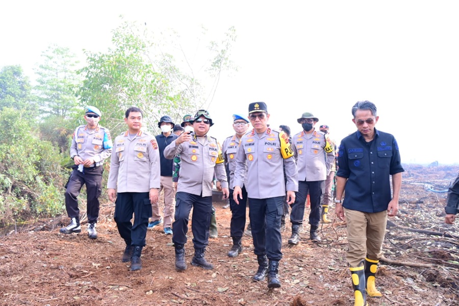 Gak Main-main! Polda Jambi Selidiki Penyebab Karhutla di Desa Gambut Jaya, Termasuk EM si Pemilik Lahan