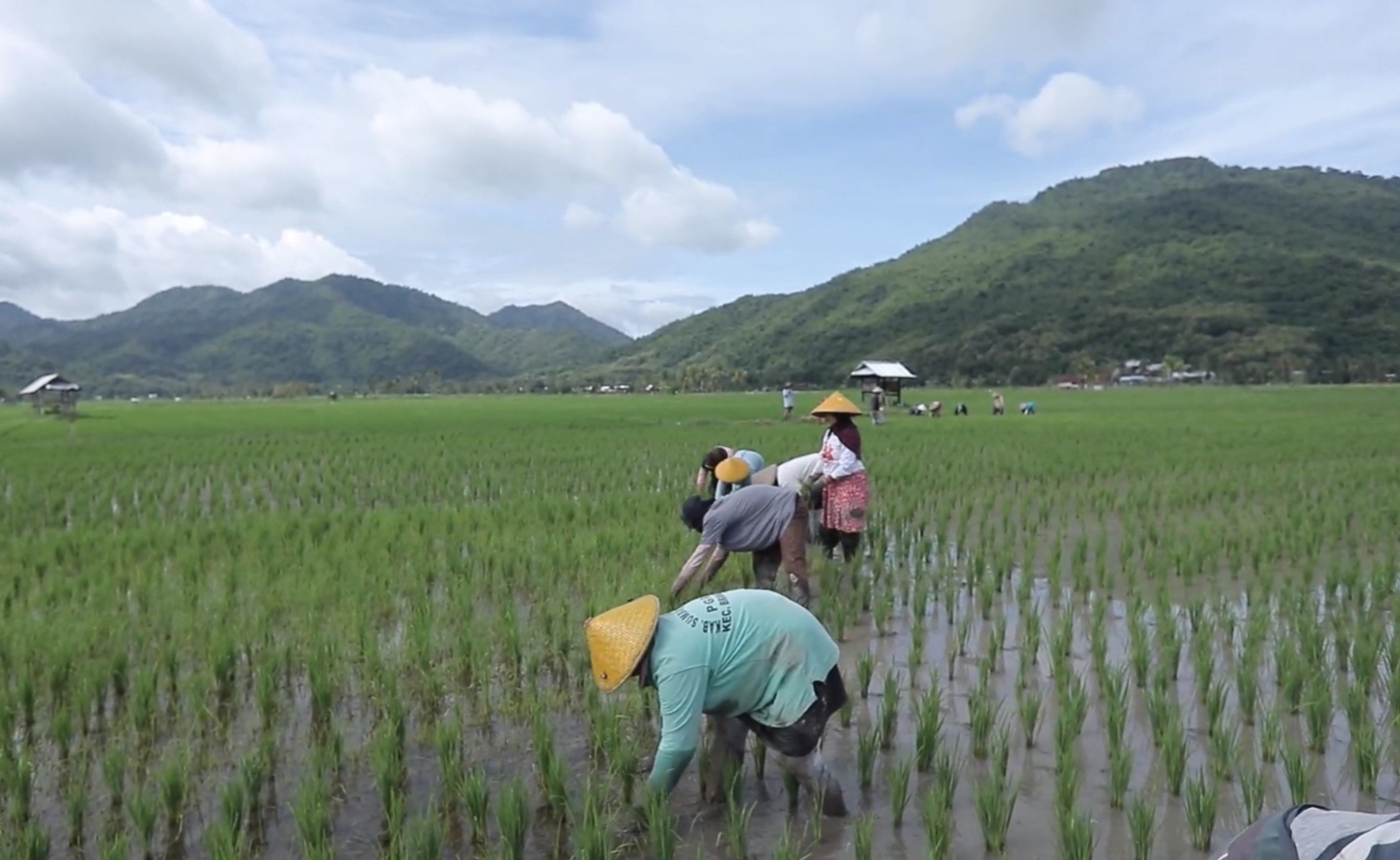 5.200 Desa Terjangkau, Desa Manemeng Jadi Bukti Nyata Sukses Program Desa BRILiaN BRI Berbasis Potensi Lokal