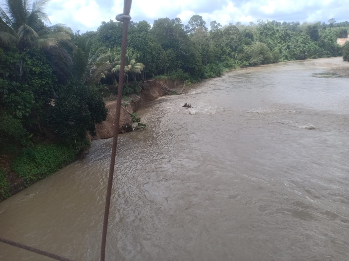 Dihantam Derasnya Air Sungai Batang Merangin, Tebing Penahan Jalan Desa Biuku Tanjung Nyaris Putus